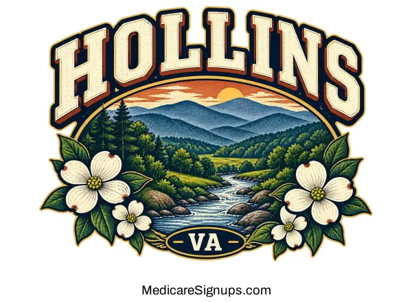 Enroll in a Hollins Virginia Medicare Plan.